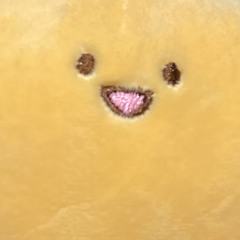 bongxinh