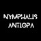 Nymphalis Antiopa
