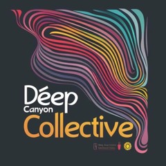 Deep Canyon Collective ✨🌙