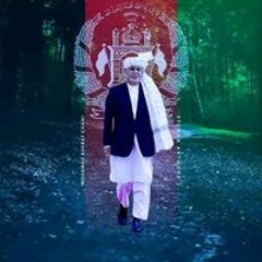 Hidayat Ayaz Shenwari