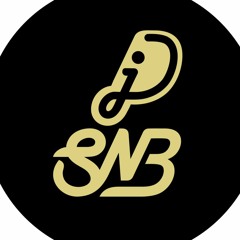 DJ_SNB