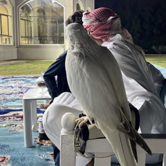SAIF BN SALEM