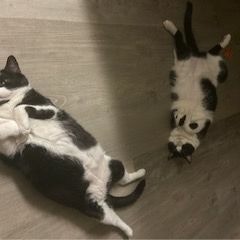 Life's a Mystery and then We're history