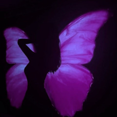 xochithefairy