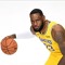 3 point goat