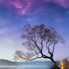 Malak_Mohamed09