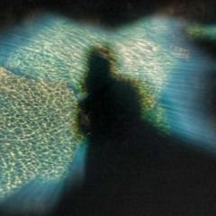 Phyla
