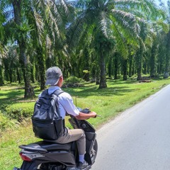 Fiki Farel
