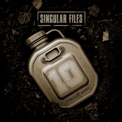 SINGULAR FILES