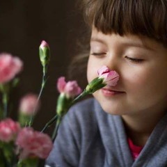 وصال عبد السلام