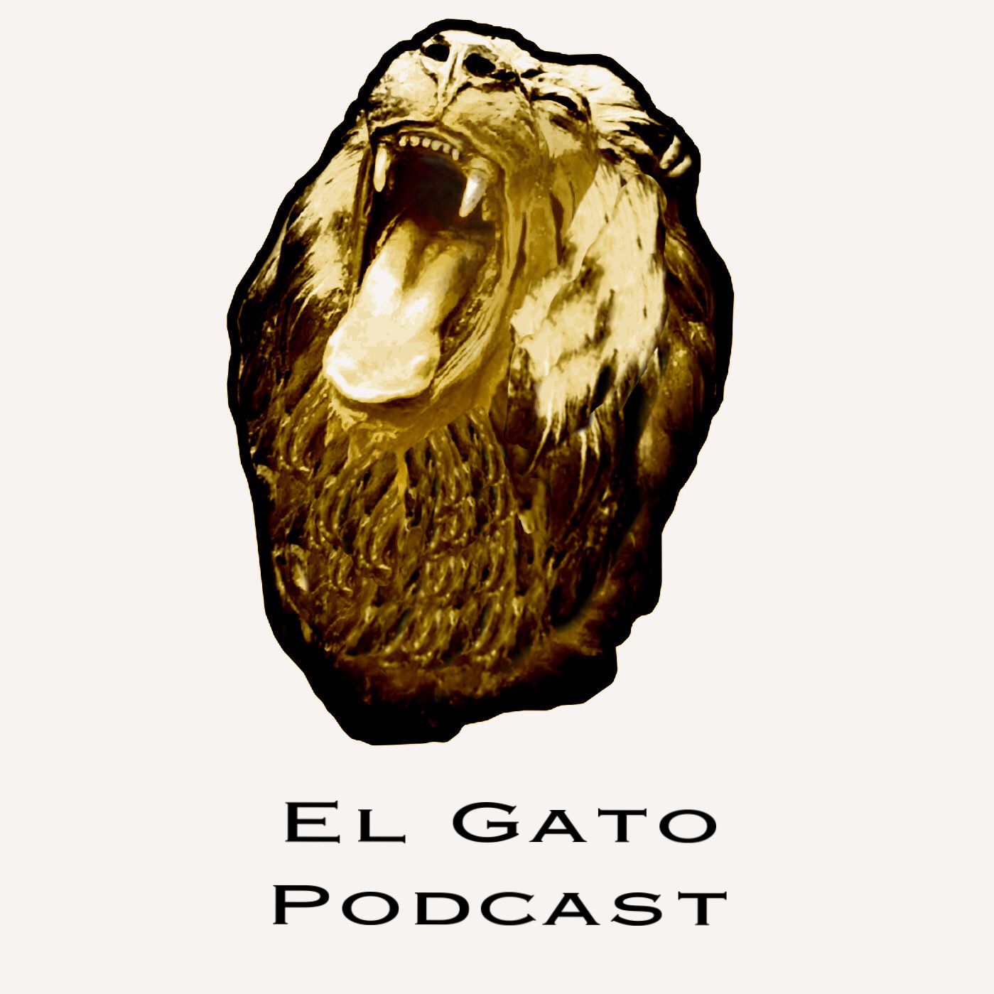 El Gato Loco (The Crazy Cat)