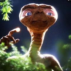 Lokito Bizz 🇵🇦