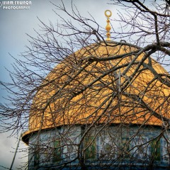 معاً نحو الأقصى 1|Al-aqsa