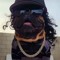 Ray2Faded_BX