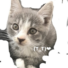 evvu