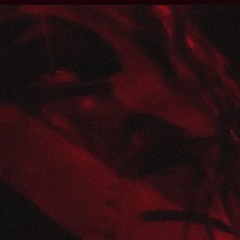 DVRK L1NK AKA TRiPPY VAMP