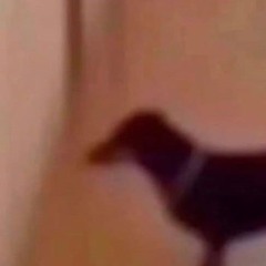 ___