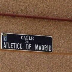 Diego Rodríguez pardo