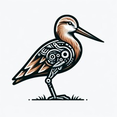 AR GodWit