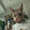 SanTillo
