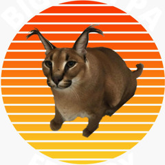 DJBingus