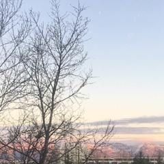 Why Did You Make It?