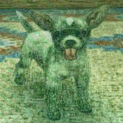 sphynx90000