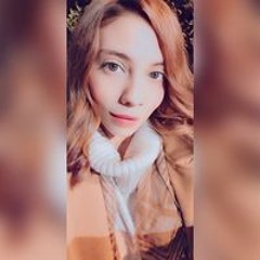 Noura M Ali