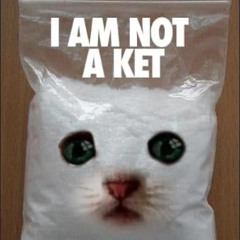 𝔦𝔳𝔰𝔞𝔦𝔫𝔱𝔩𝔞𝔲𝔯𝔢𝔫𝔱