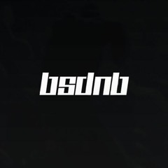 bsdnb
