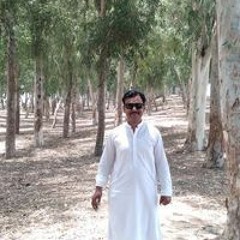 Hameed M Shahi