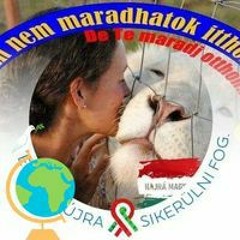 Földesi Sándorné Opauszki Katalin