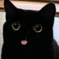 NunesDS