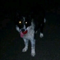 yushi