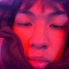 Đức Toàn Võ