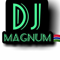 steven magnum