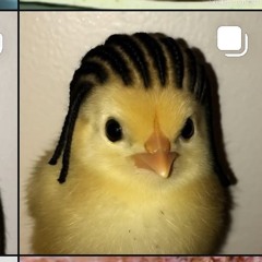 This is a very old account