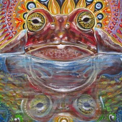 Psychedelic Frog Music