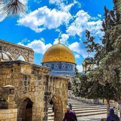 رِحَـابْ آل المِنشَاوي.'