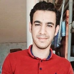 عبد الرحمن طنطاوي