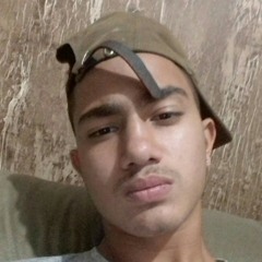 gudisner