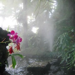 foryourpatience(@foryourpatience)