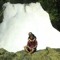 Armitha