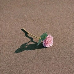 𝓡𝓮𝓭 𝓜𝓪𝓻𝓵𝓫𝓸𝓻𝓸