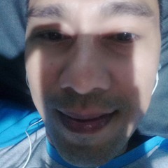 last of the mowhican cover