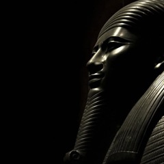 🍁  T  H  O  X  H  A  🍁