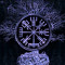 Viking Roots
