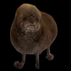 Bean