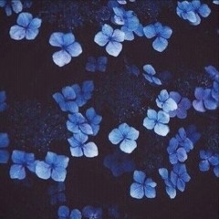 🌸Kimimila Fallis🌸