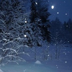 𝙎𝙉𝙊𝙒 🌨️